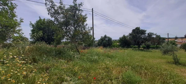 Terreno para Venda em Boliqueime