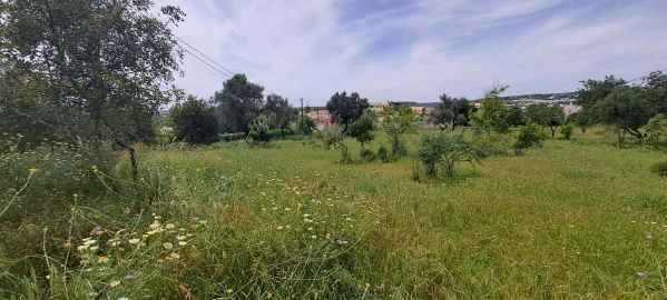 Terreno para Venda em Boliqueime