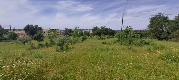 Terreno para Venda em Boliqueime