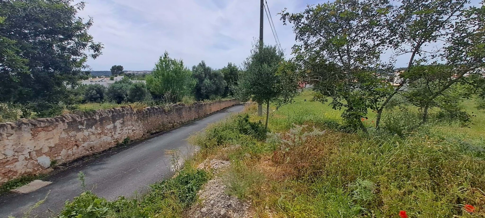 Terreno para Venda em Boliqueime Foto 8