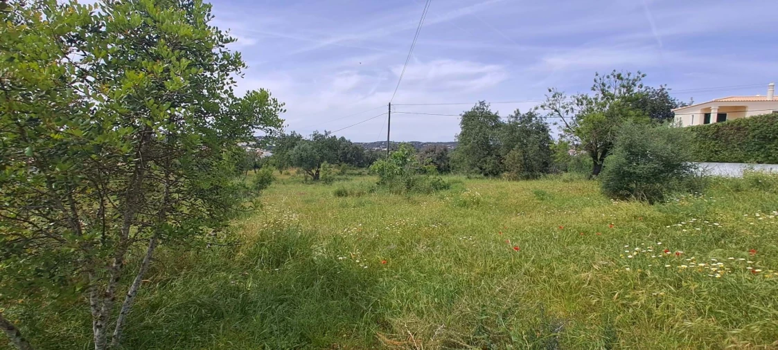Terreno para Venda em Boliqueime Foto 2