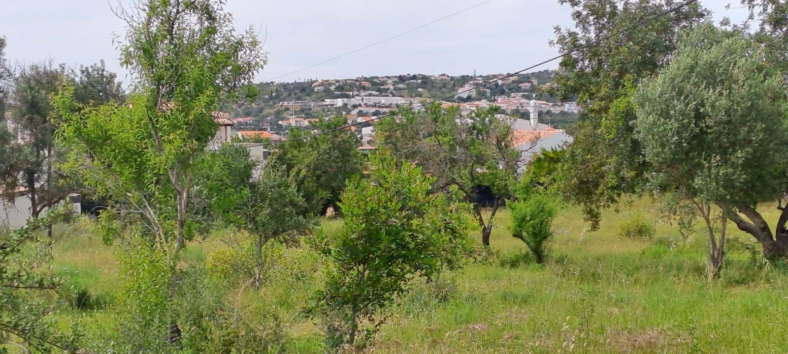 Terreno para Venda em Boliqueime Foto 1