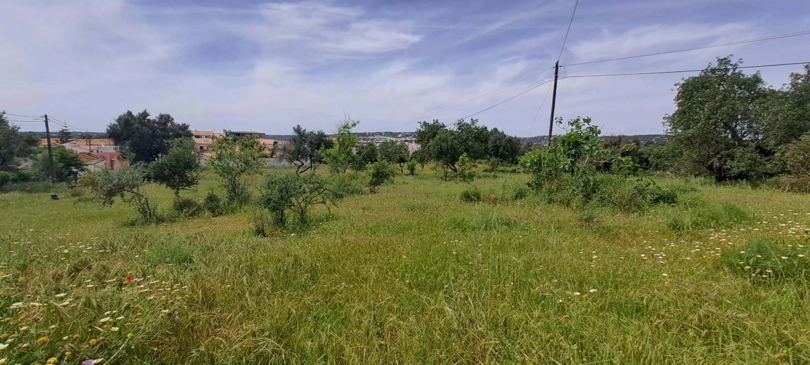 Terreno para Venda em Boliqueime Foto 6