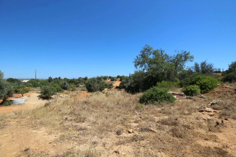 Terreno para Venda em Silves Foto 18