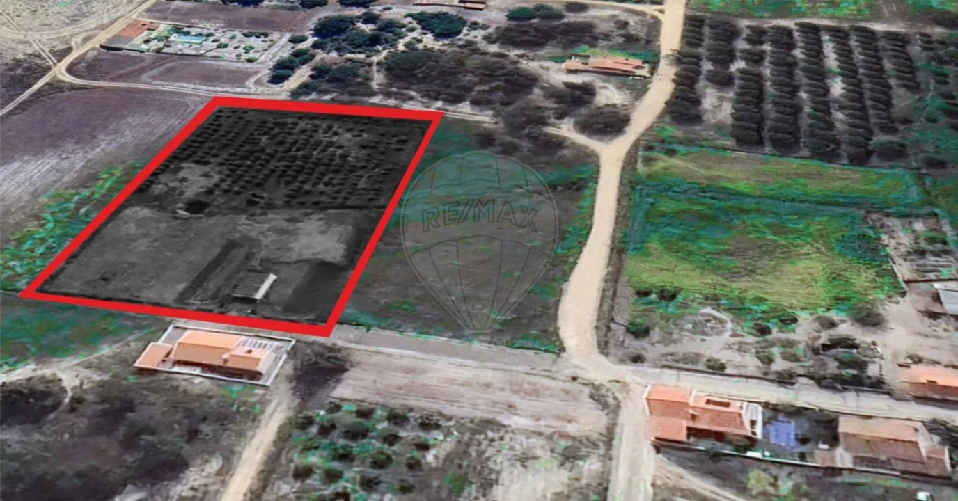 Terreno para Venda em Torrão Foto 10