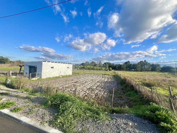 Terreno para Venda em Torrão Foto 2