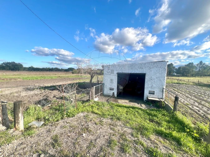 Terreno para Venda em Torrão Foto 1