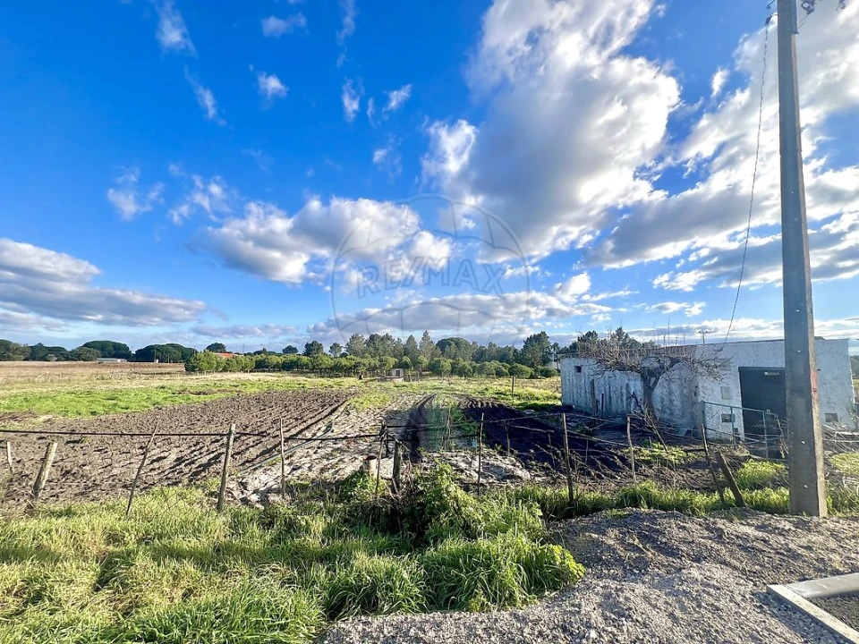 Terreno para Venda em Torrão Foto 4