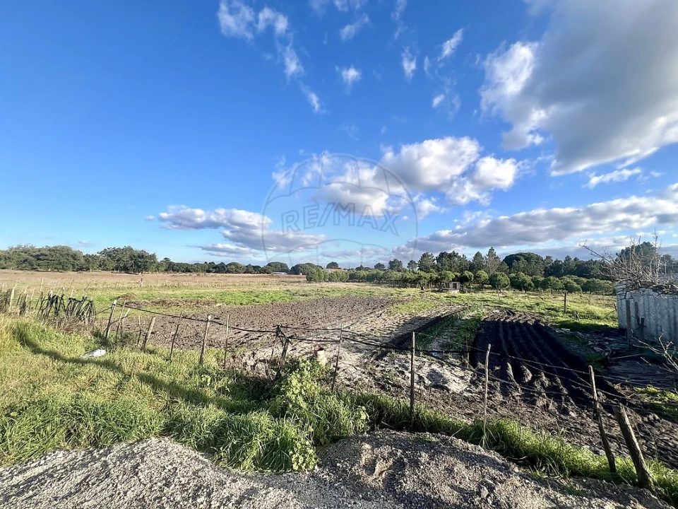 Terreno para Venda em Torrão Foto 3
