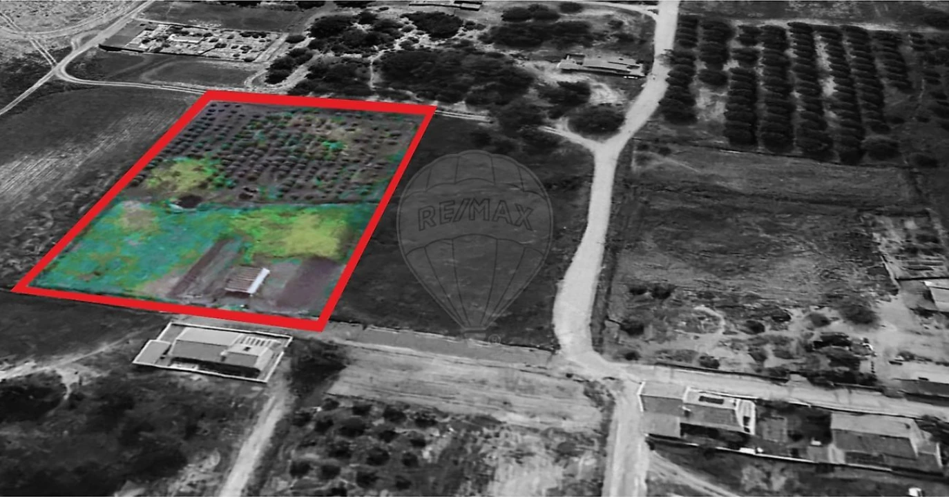 Terreno para Venda em Torrão Foto 11