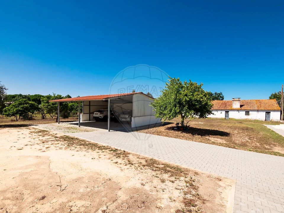 Moradia T6 para Venda em Branca Foto 19