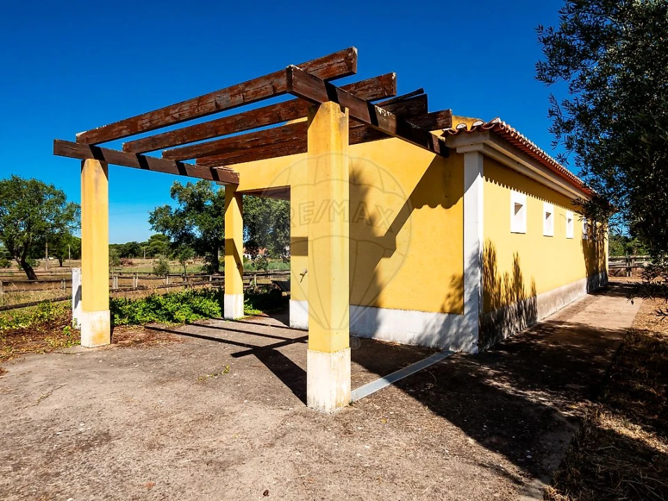 Moradia T6 para Venda em Branca Foto 7