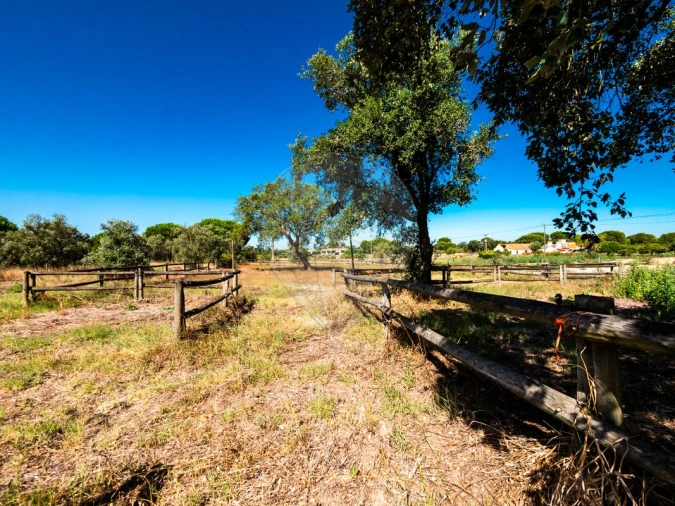 Moradia T6 para Venda em Branca Foto 16