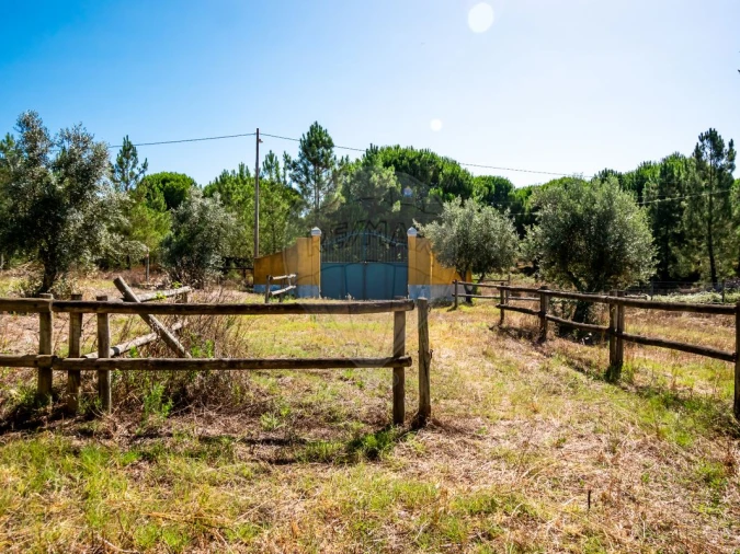 Moradia T6 para Venda em Branca Foto 15