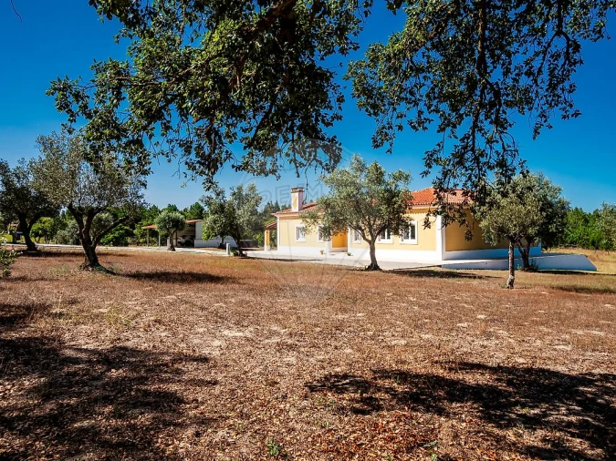 Moradia T6 para Venda em Branca Foto 20