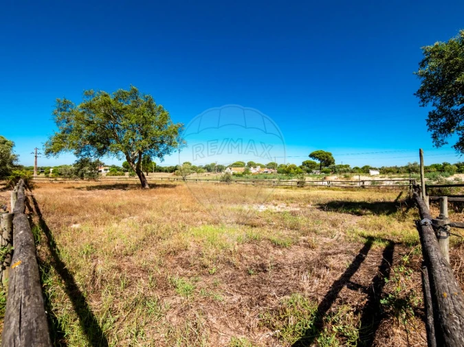 Moradia T6 para Venda em Branca Foto 13