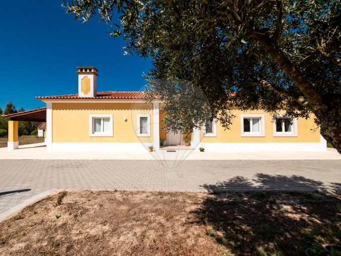 Moradia T6 para Venda em Branca Foto 41