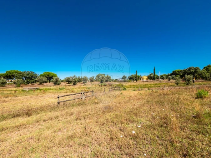 Moradia T6 para Venda em Branca Foto 39