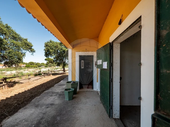 Moradia T6 para Venda em Branca Foto 9