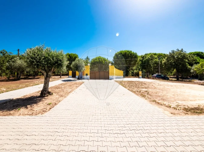 Moradia T6 para Venda em Branca Foto 4