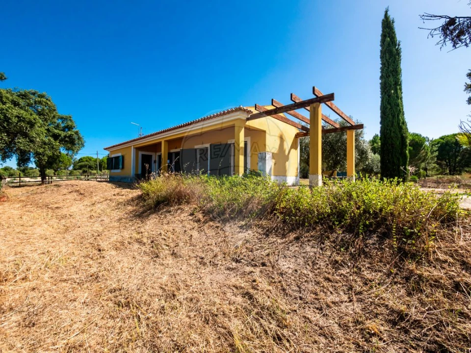 Moradia T6 para Venda em Branca Foto 8