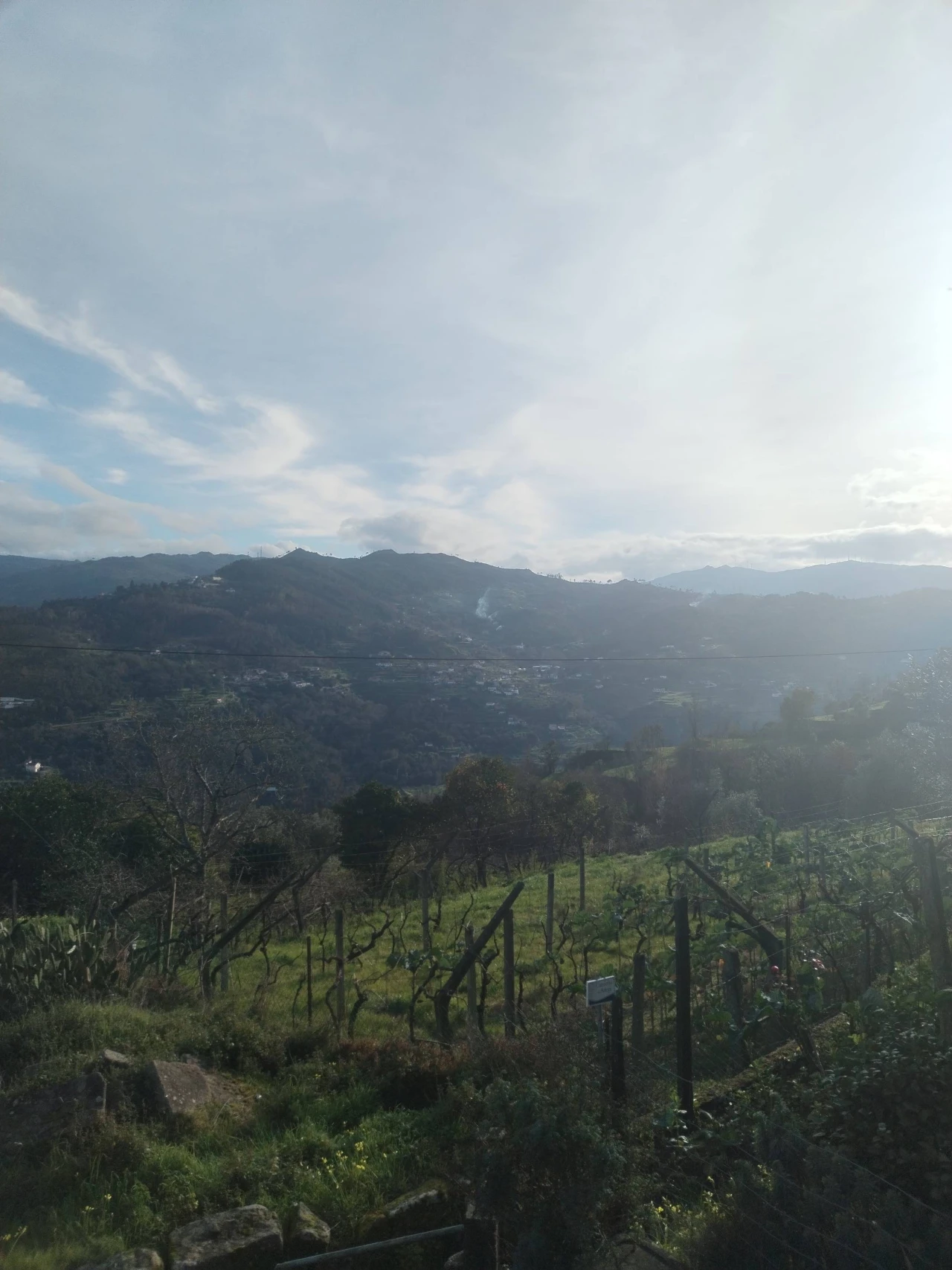 Moradia T3 para Venda em Ancede e Ribadouro Foto 2