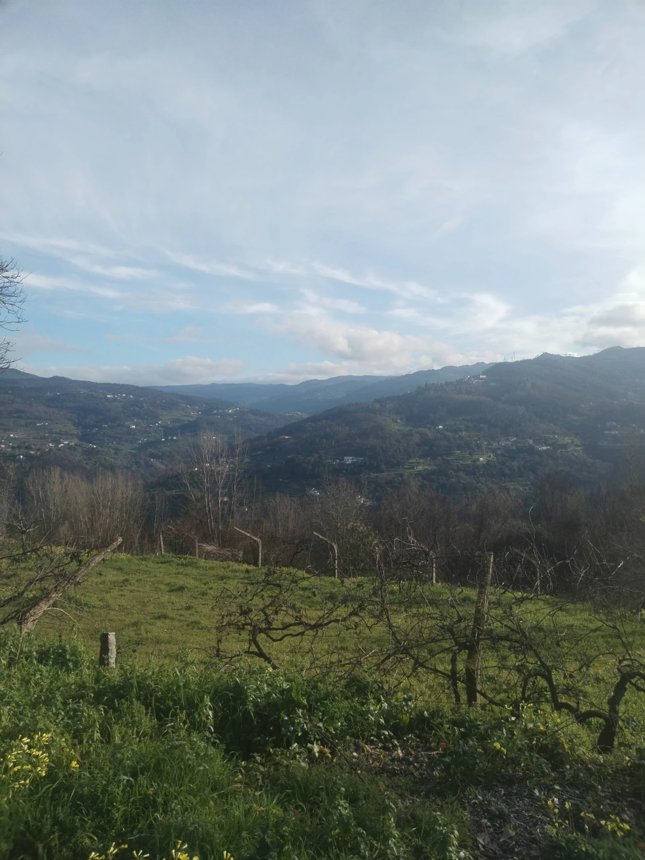 Moradia T3 para Venda em Ancede e Ribadouro Foto 3