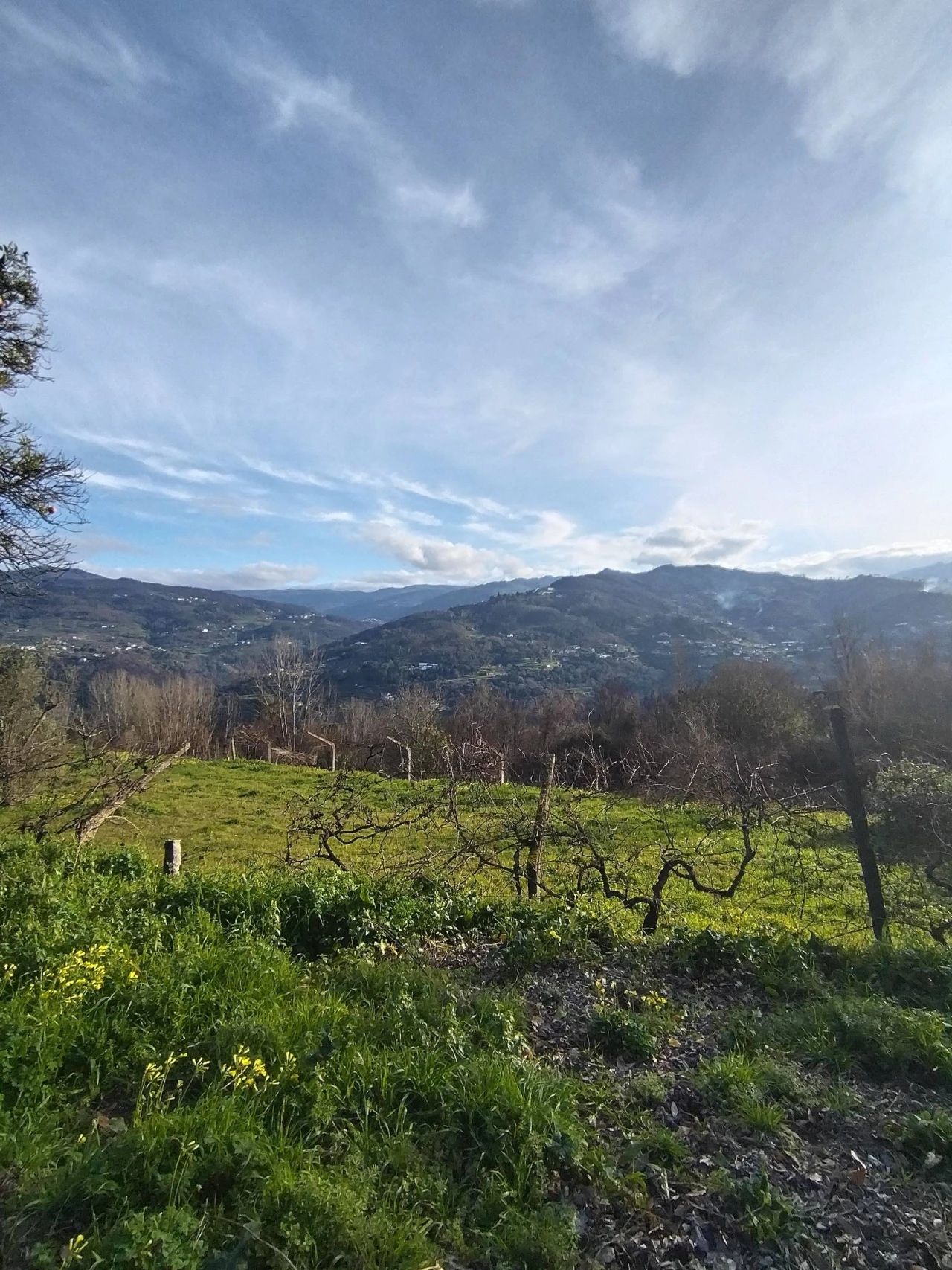 Moradia T3 para Venda em Ancede e Ribadouro Foto 4