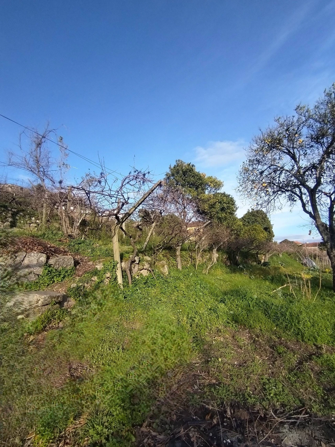 Moradia T3 para Venda em Ancede e Ribadouro Foto 5