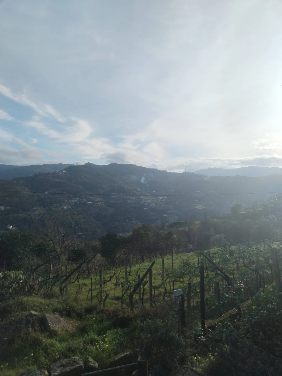 Moradia T3 para Venda em Ancede e Ribadouro Foto 2