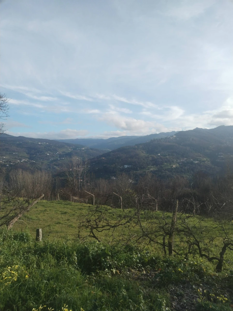 Moradia T3 para Venda em Ancede e Ribadouro Foto 3