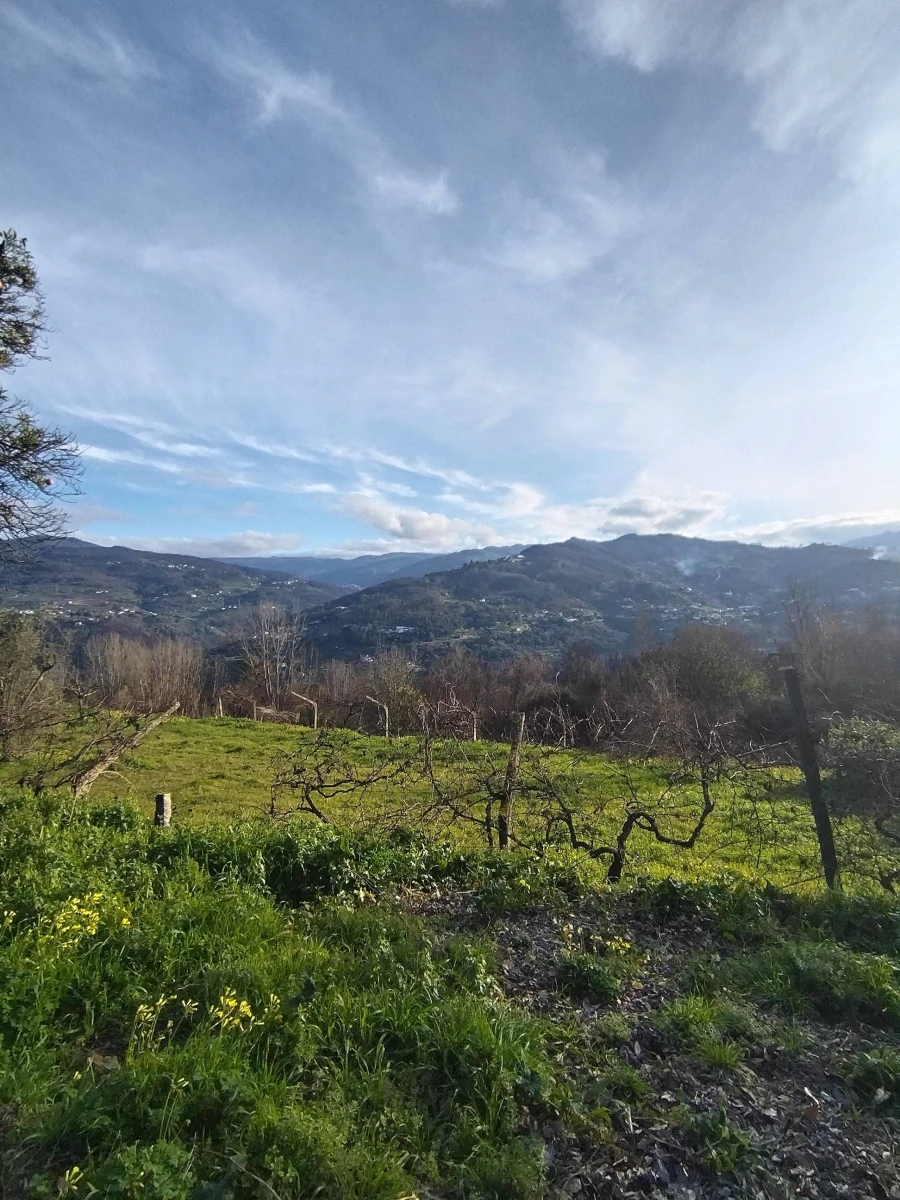 Moradia T3 para Venda em Ancede e Ribadouro Foto 4