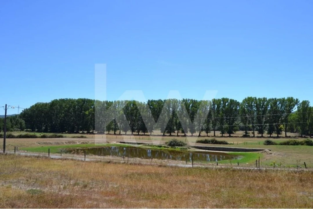 Quinta T9 para Venda em Covilhã e Canhoso Foto 1