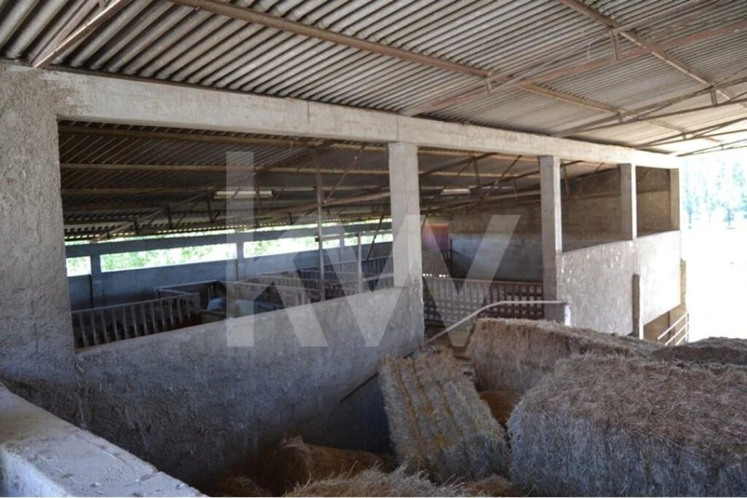 Quinta T9 para Venda em Covilhã e Canhoso Foto 3