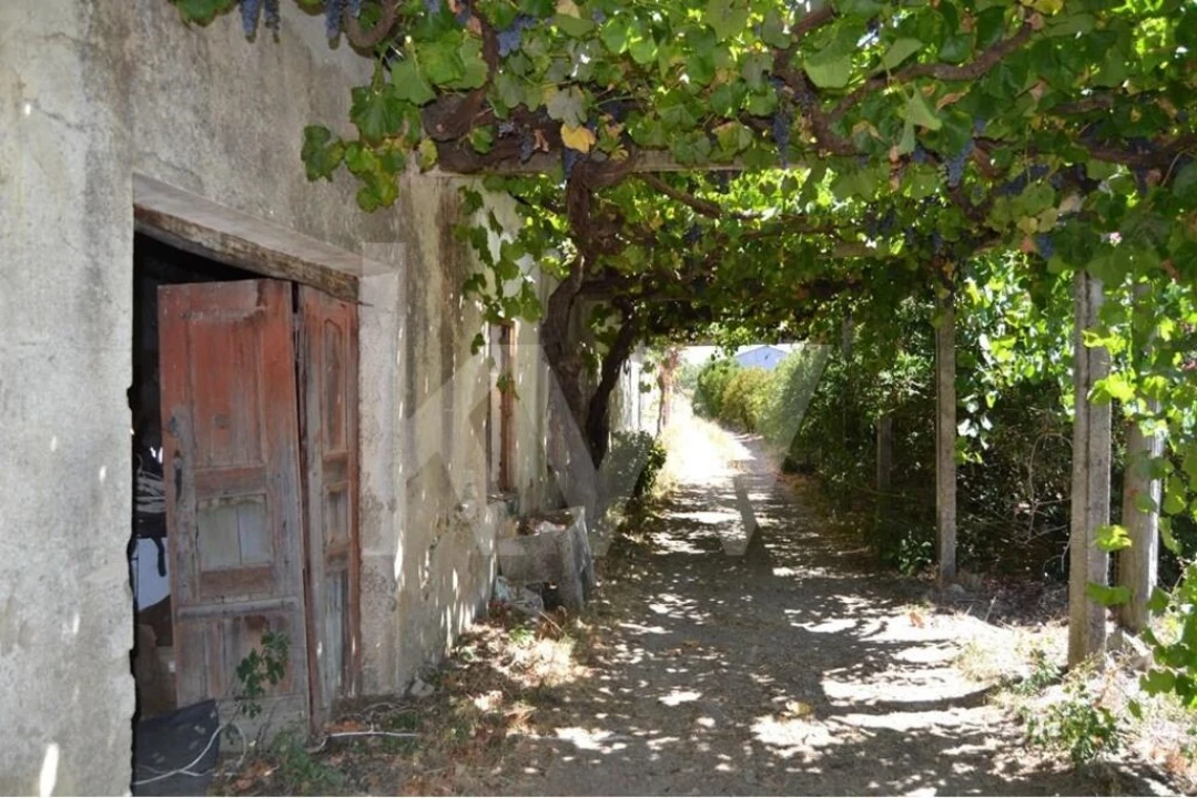 Quinta T9 para Venda em Covilhã e Canhoso Foto 4