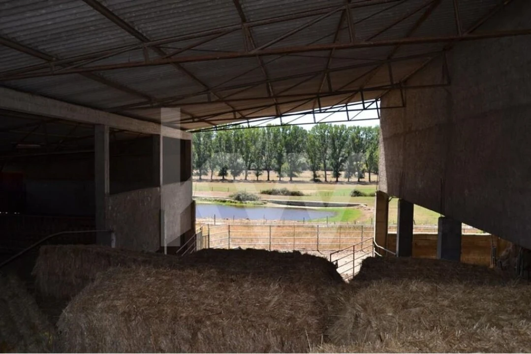 Quinta T9 para Venda em Covilhã e Canhoso Foto 5