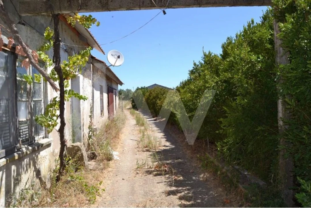 Quinta T9 para Venda em Covilhã e Canhoso Foto 13