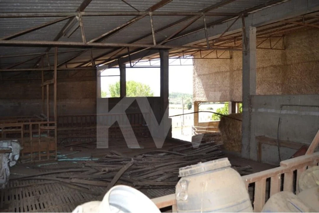 Quinta T9 para Venda em Covilhã e Canhoso Foto 16