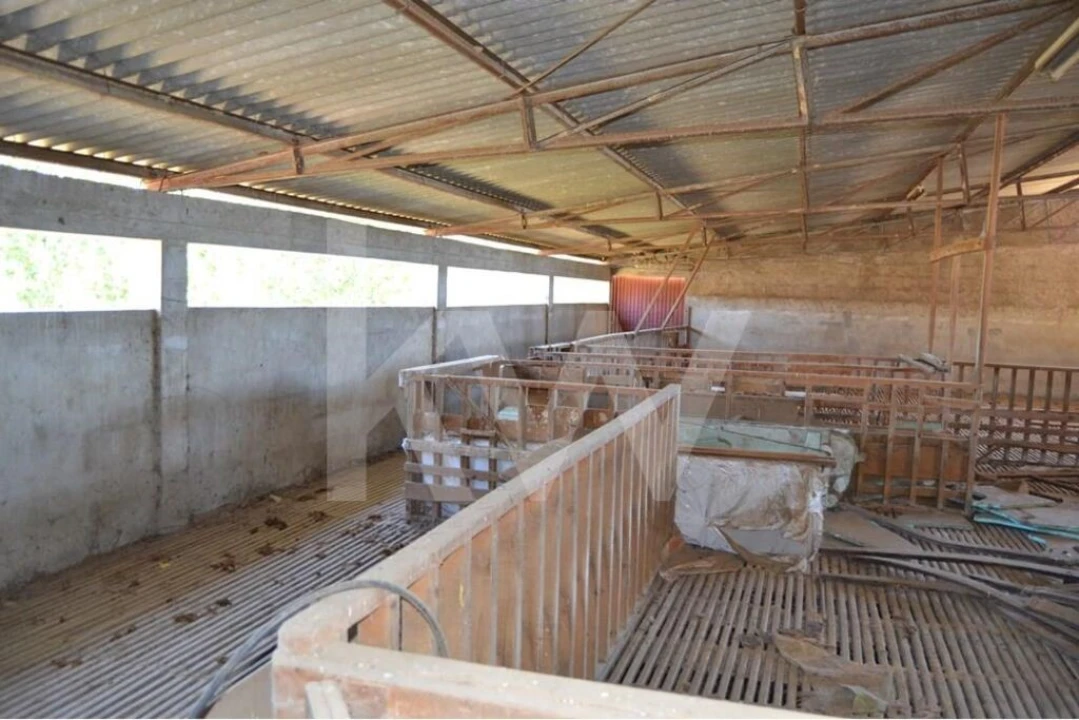 Quinta T9 para Venda em Covilhã e Canhoso Foto 17