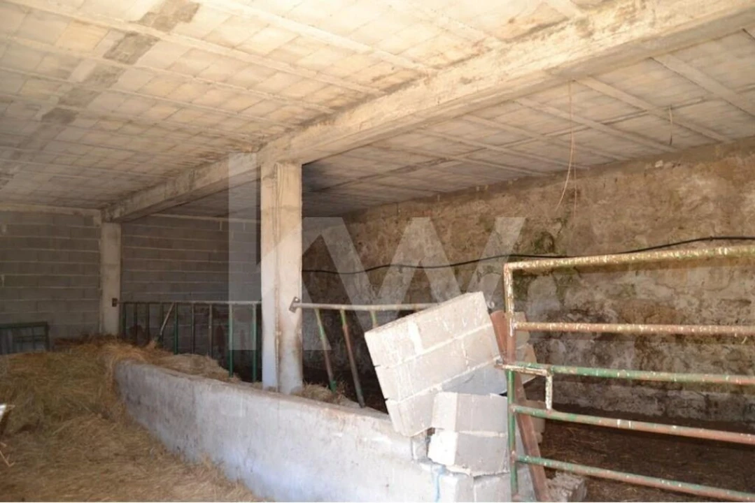 Quinta T9 para Venda em Covilhã e Canhoso Foto 46