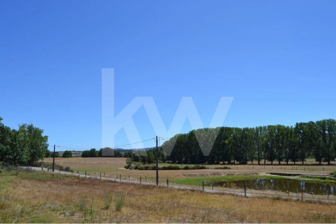 Quinta T9 para Venda em Covilhã e Canhoso Foto 49