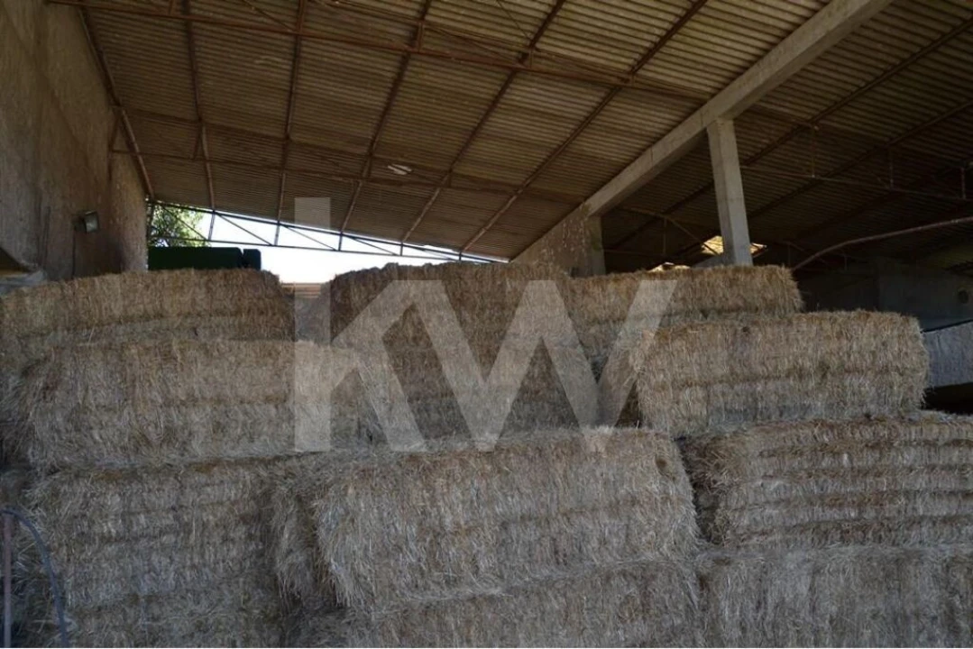 Quinta T9 para Venda em Covilhã e Canhoso Foto 55