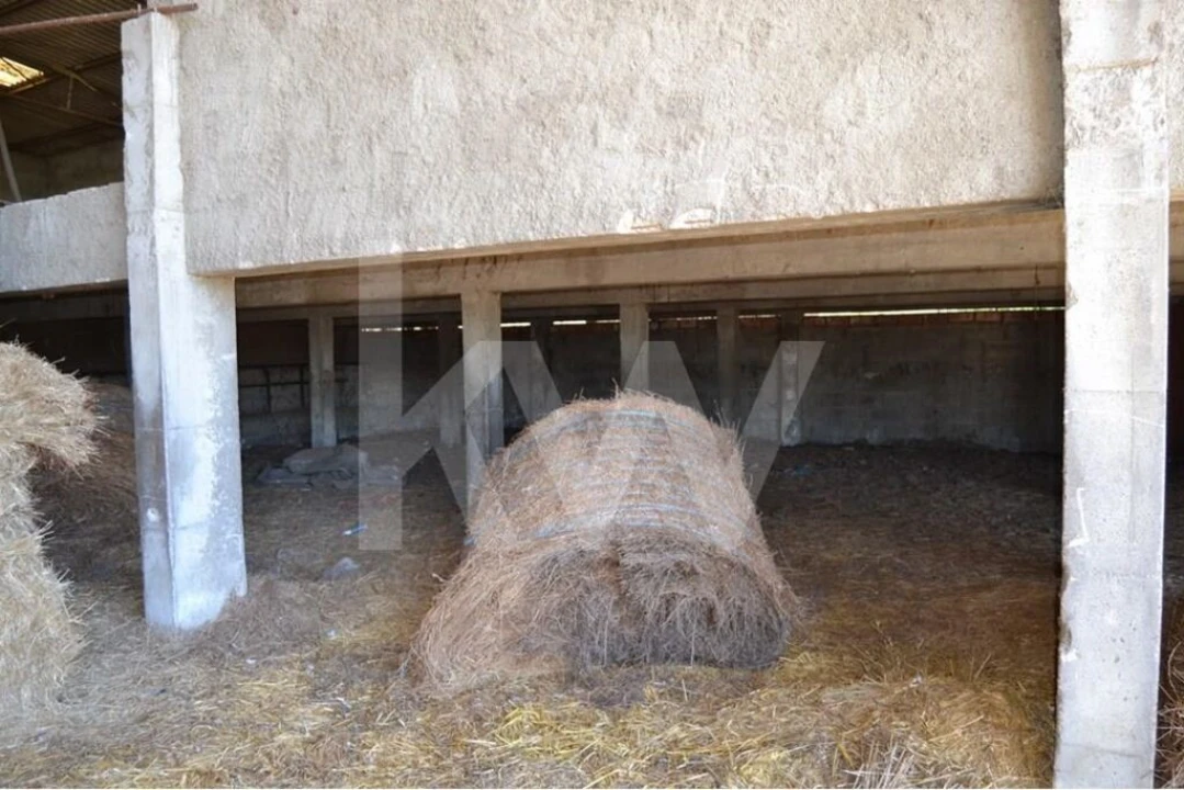 Quinta T9 para Venda em Covilhã e Canhoso Foto 56