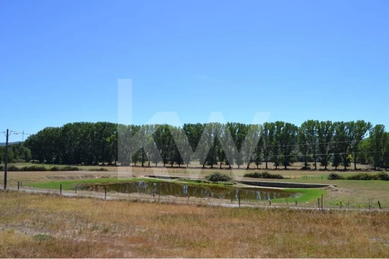 Quinta T9 para Venda em Covilhã e Canhoso Foto 1