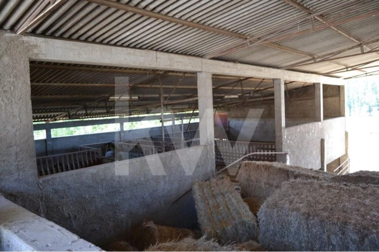 Quinta T9 para Venda em Covilhã e Canhoso Foto 3