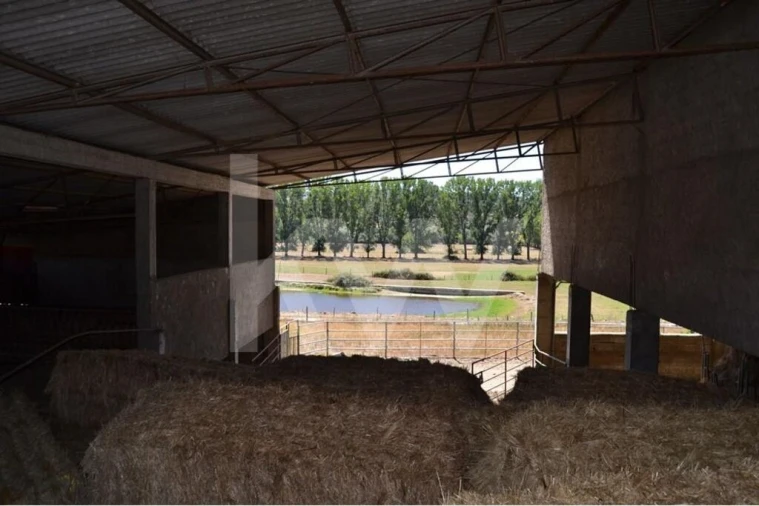 Quinta T9 para Venda em Covilhã e Canhoso Foto 5