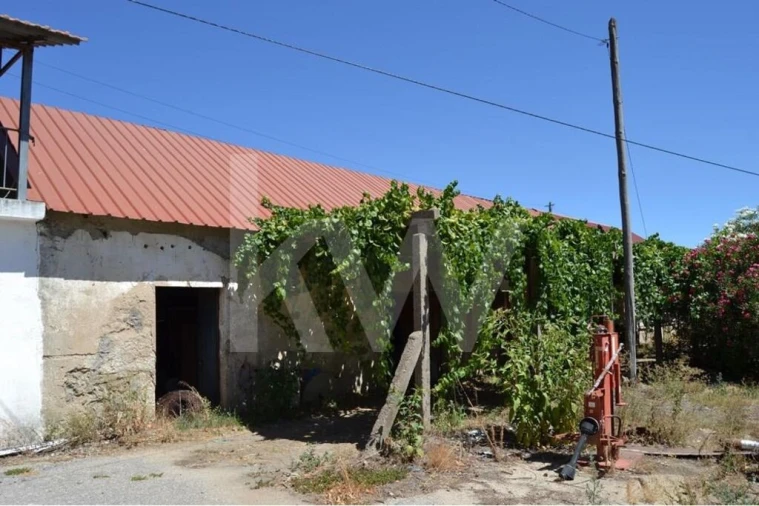 Quinta T9 para Venda em Covilhã e Canhoso Foto 8