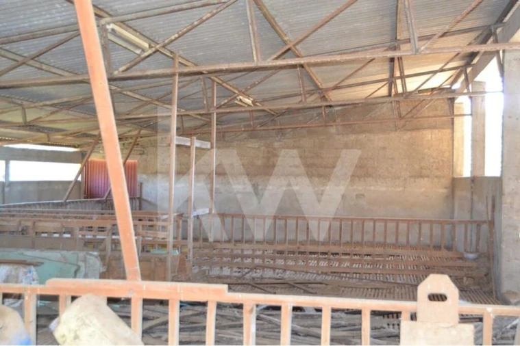 Quinta T9 para Venda em Covilhã e Canhoso Foto 15