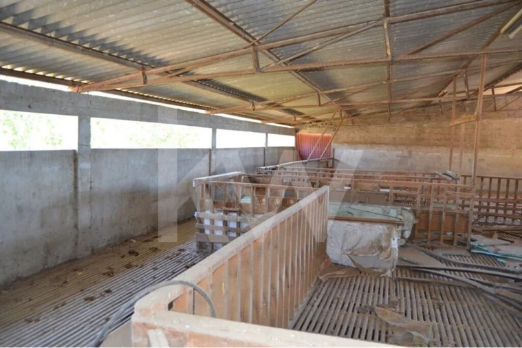 Quinta T9 para Venda em Covilhã e Canhoso Foto 17