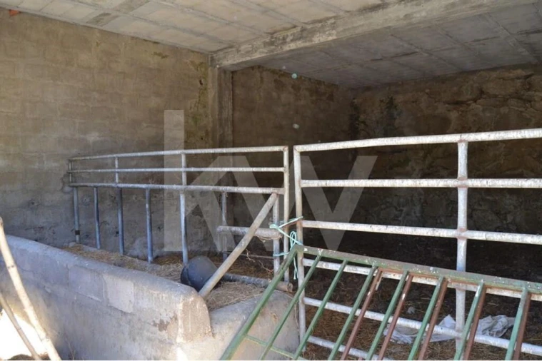 Quinta T9 para Venda em Covilhã e Canhoso Foto 42